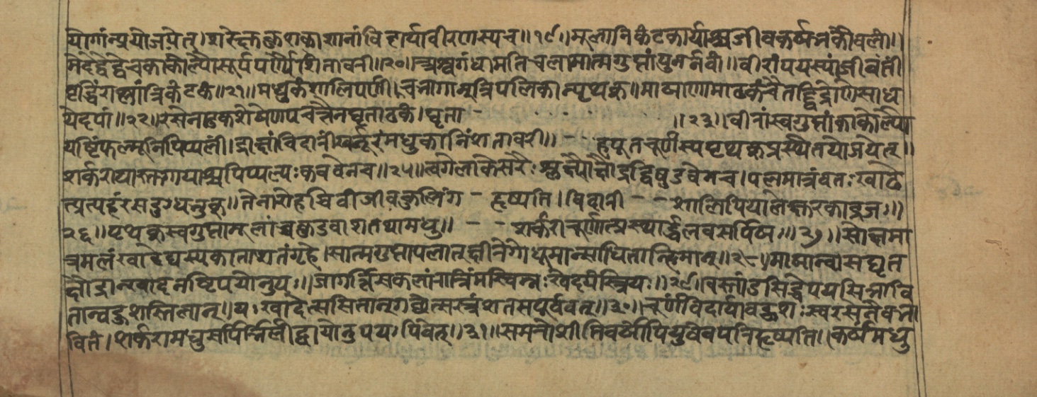 Vaidyajīvana2, page 82