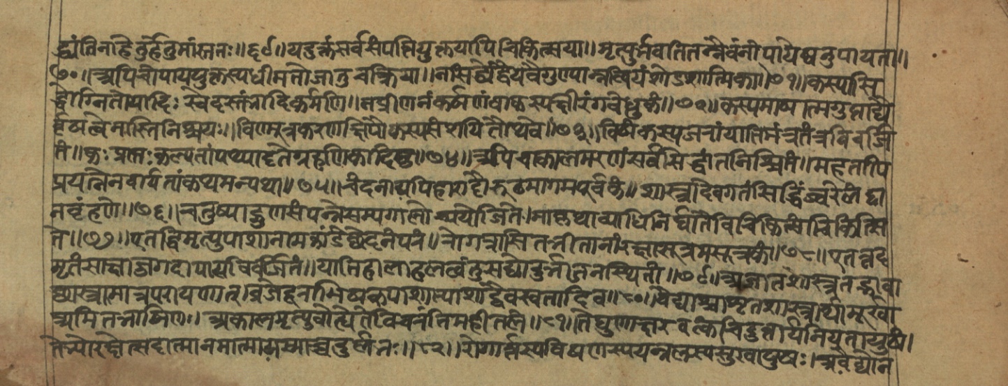 Vaidyajīvana2, page 86