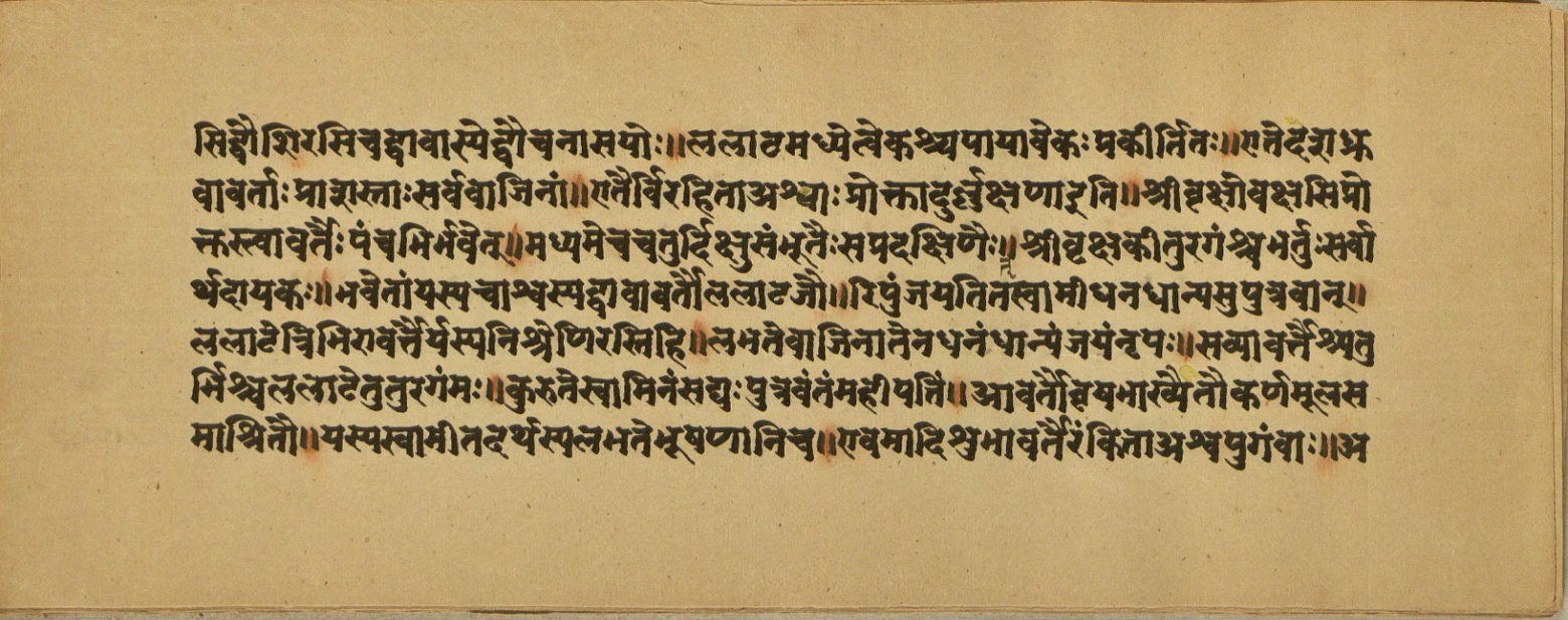 Aśvaratnaparīkṣā, page 15