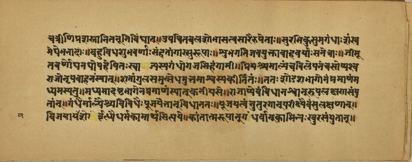 Aśvaratnaparīkṣā, page 19