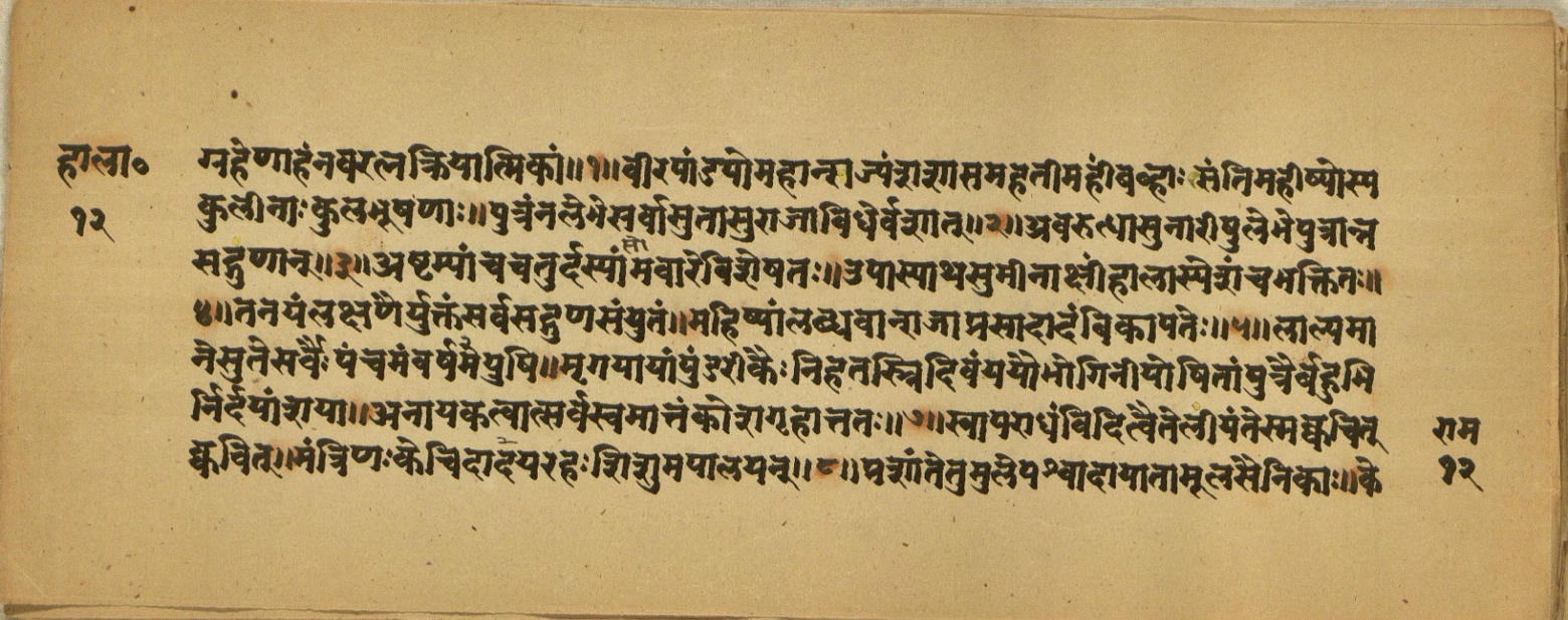 Aśvaratnaparīkṣā, page 24