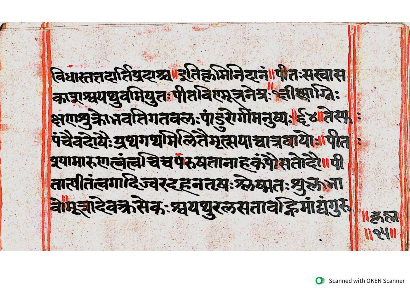 Vṛttamāṇikyamālā, page 29