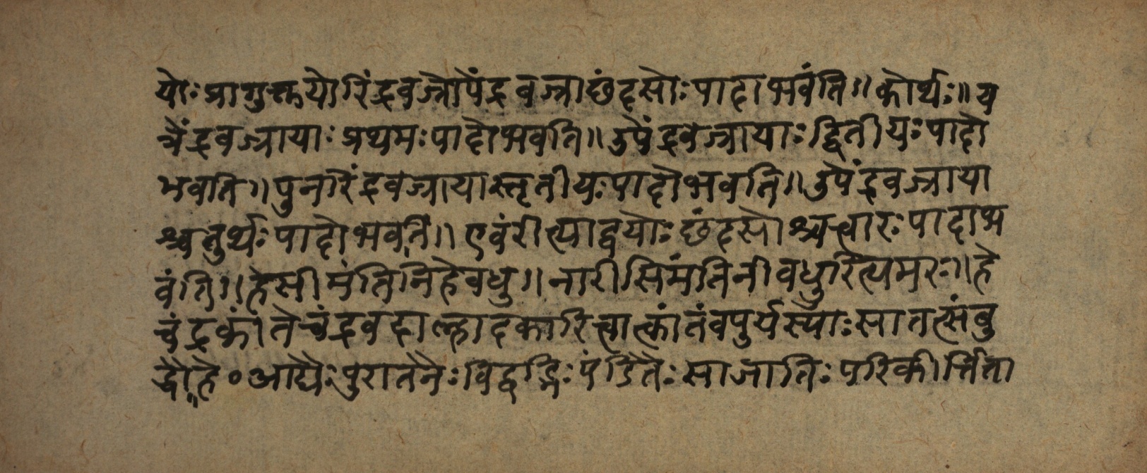 Śrutabodha-Saṭīka, page 50