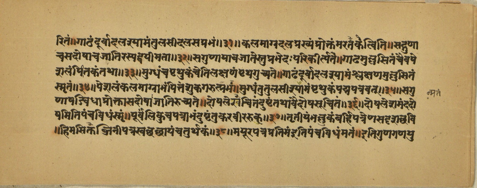 Aśvaratnaparīkṣā, page 41