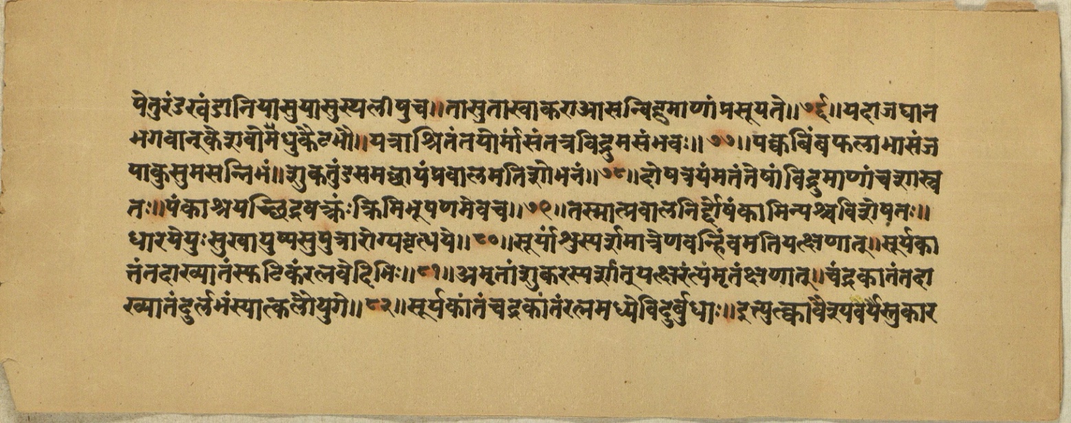 Aśvaratnaparīkṣā, page 47