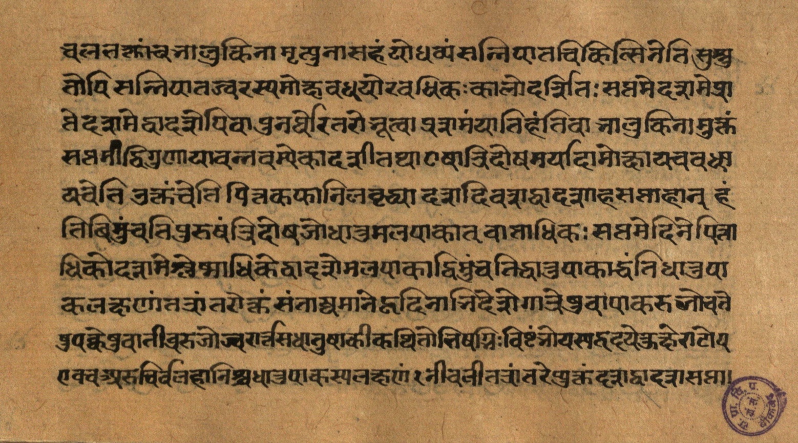 Page of the Ātaṅkadarpaṇanidāna on the critical days of sannipāta fever